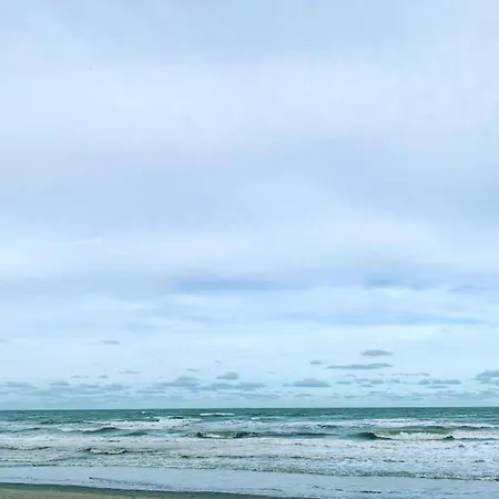 In Near Marina Apartamento