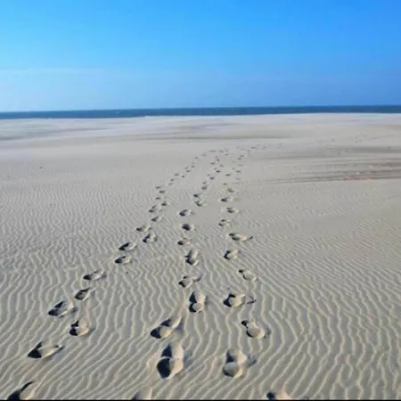 Apartamento In Near Marina *