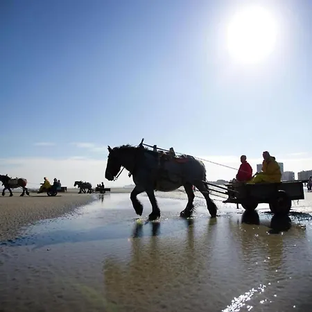 Apartamento In Near Marina