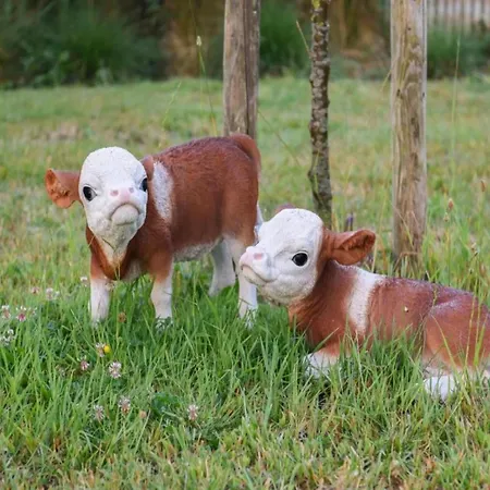 In Near Marina Nieuwpoort