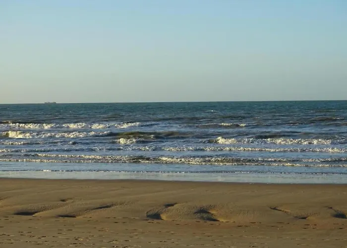 Apartament In Near Marina