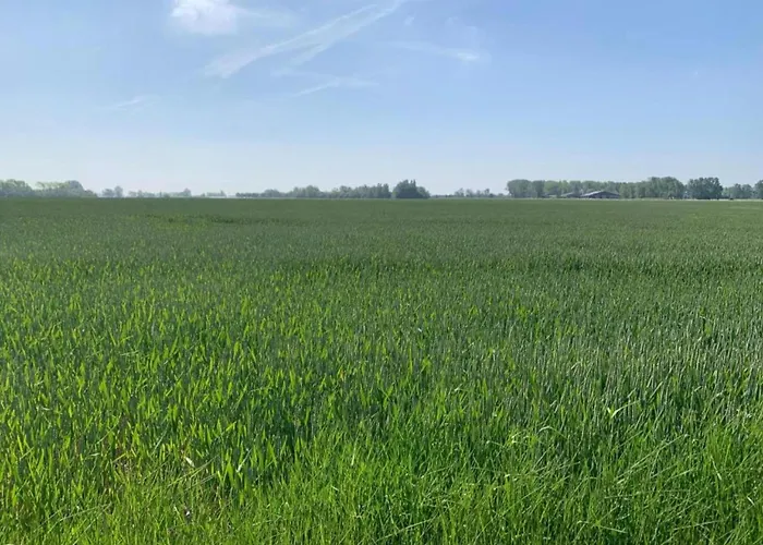 In Near Marina * Nieuwpoort